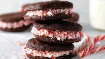Biscuits Au Chocolat Et À La Menthe Poivrée