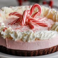 Tarte à la Canneberge