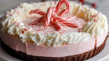 Tarte à la Canneberge