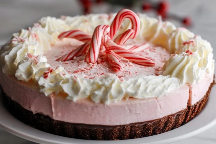 Tarte à la Canneberge